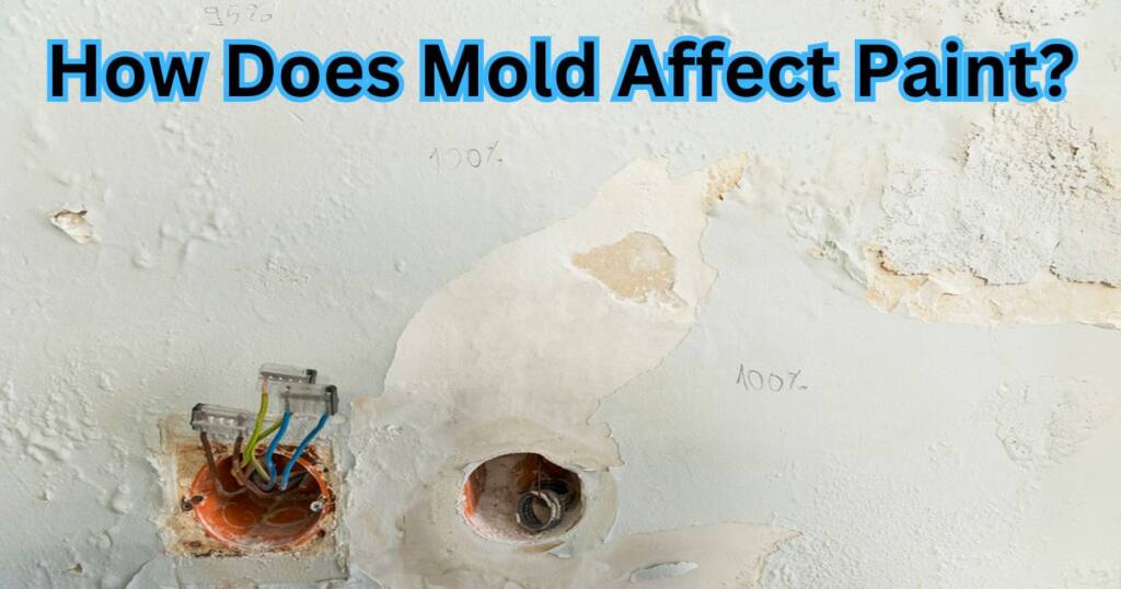 Mold and Water Damage