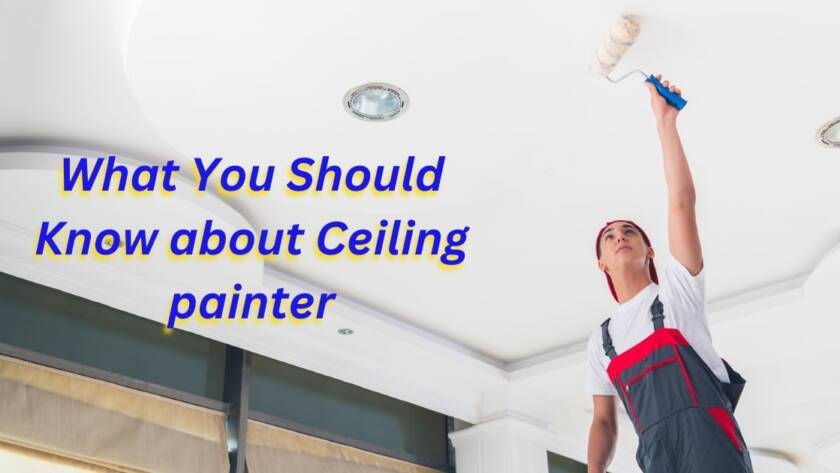 Ceiling painter